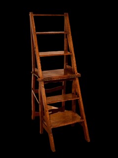 A 19th Century English Metamorphic Chair and  library Steps.